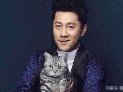 明星蔡国庆,星光璀璨的歌唱人生